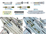 Grumman F-14A Tomcat (Late Model) (1/48)